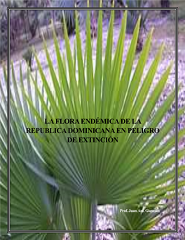 Flora Endemica De La Republica Dominicana En