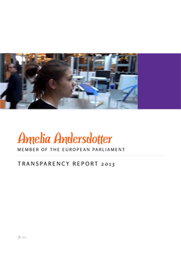Amelia Andersdotter Transparency Report 2013