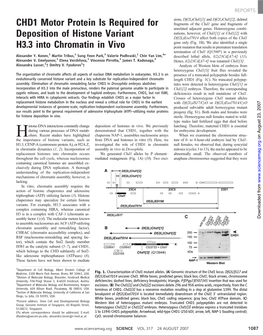 CHD1 Motor Protein Is Required for Deposition of Histone Variant H3.3