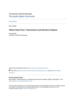 Yellow Head Virus: Transmission and Genome Analyses