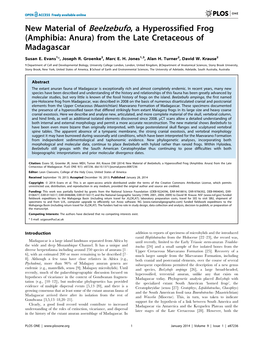 New Material of Beelzebufo, a Hyperossified Frog (Amphibia: Anura) from the Late Cretaceous of Madagascar