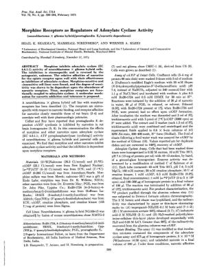 Morphine Receptors As Regulators of Adenylate Cyclase Activity (Neuroblastoma X Glioma Hybrid/Prostaglandin El/Narcotic Dependence) SHAIL K