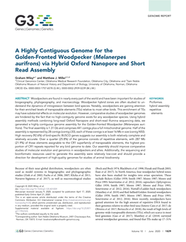 A Highly Contiguous Genome for the Golden-Fronted Woodpecker (Melanerpes Aurifrons) Via Hybrid Oxford Nanopore and Short Read Assembly