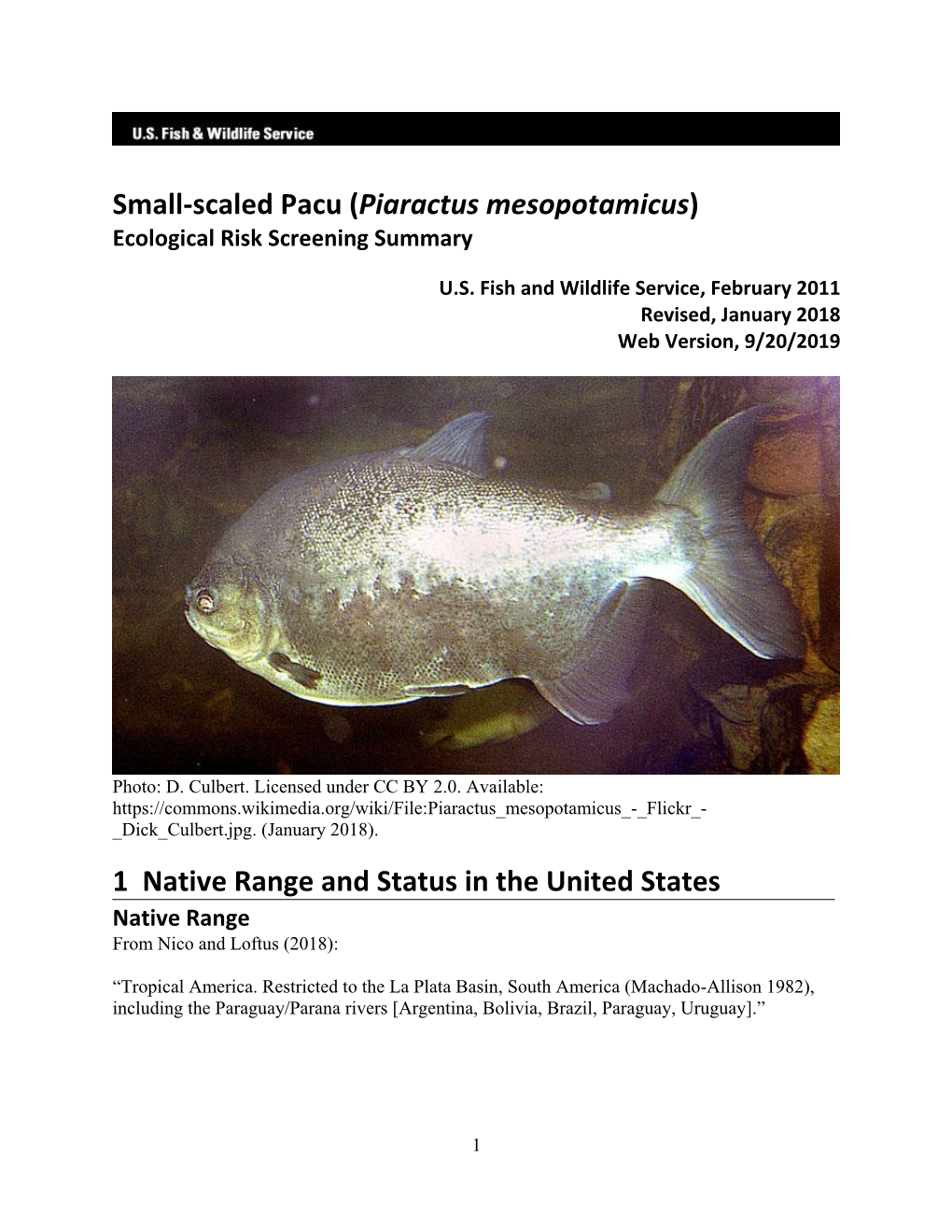 Small-Scaled Pacu (Piaractus Mesopotamicus) Ecological Risk Screening Summary