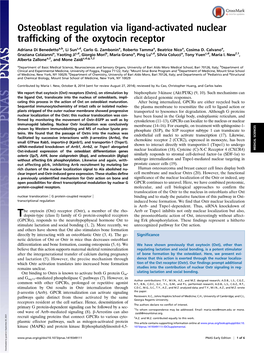 Osteoblast Regulation Via Ligand-Activated Nuclear Trafficking of the Oxytocin Receptor