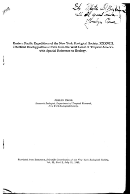 Eastern Pacific Expeditions of the New York Zoological Society. XXXVIII. Intertidal Brachygnathous Crabs from the West Coast Of