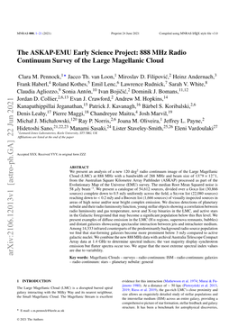 888 Mhz Radio Continuum Survey of the Large Magellanic Cloud