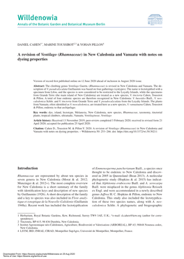 A Revision of Ventilago (Rhamnaceae) in New Caledonia and Vanuatu with Notes on Dyeing Properties