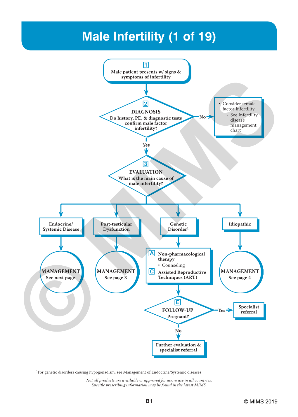 Male Infertility (1 of 19)