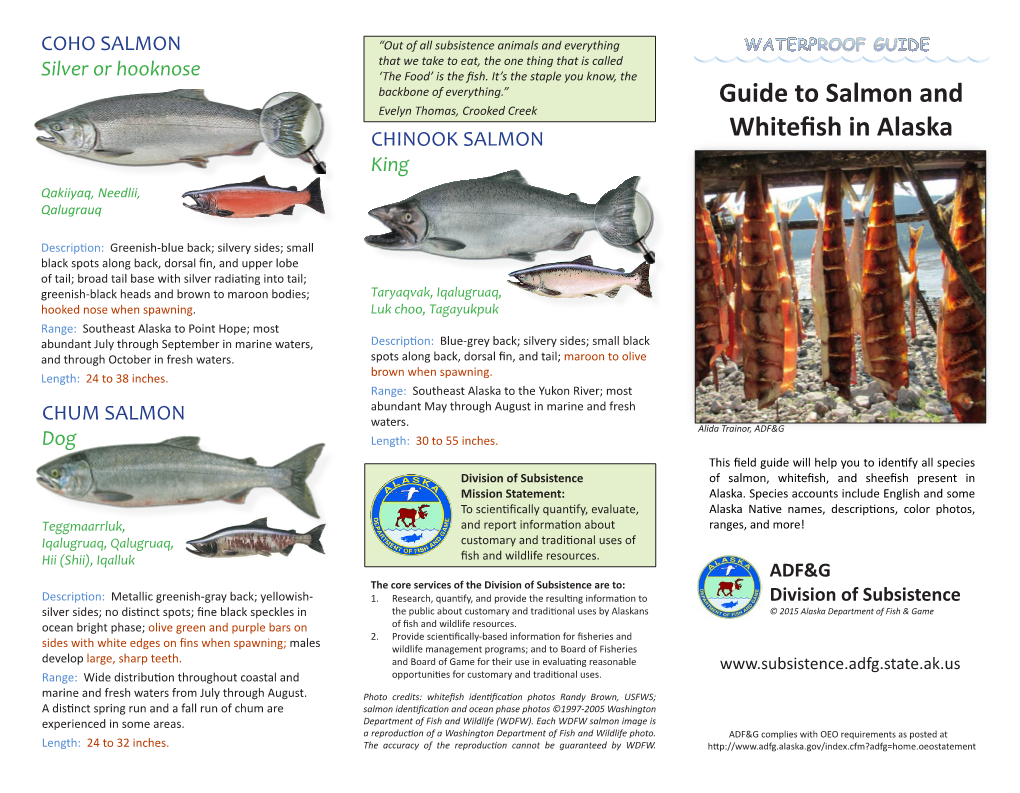 Guide to Salmon and Whitefish in Alaska