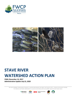 STAVE RIVER WATERSHED ACTION PLAN FINAL November 14, 2017 Administrative Update July 21, 2020