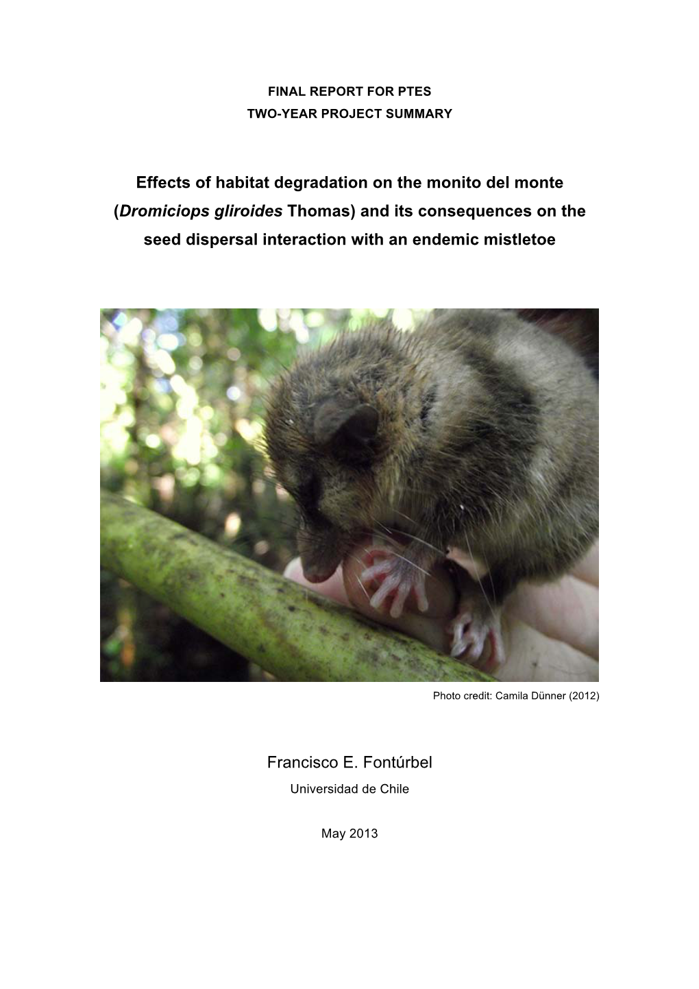 effects-of-habitat-degradation-on-the-monito-del-monte-dromiciops