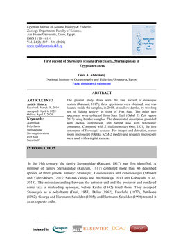 First Record of Sternaspis Scutata (Polychaeta, Sternaspidae) in Egyptian Waters