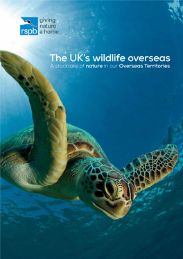 The UK's Wildlife Overseas