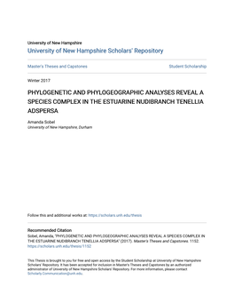 Phylogenetic and Phylogeographic Analyses Reveal a Species Complex in the Estuarine Nudibranch Tenellia Adspersa