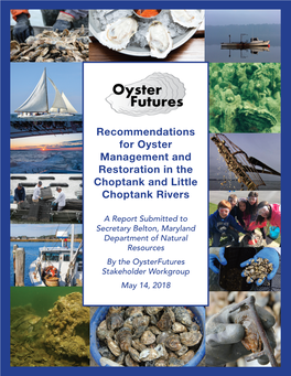 Oyster Futures