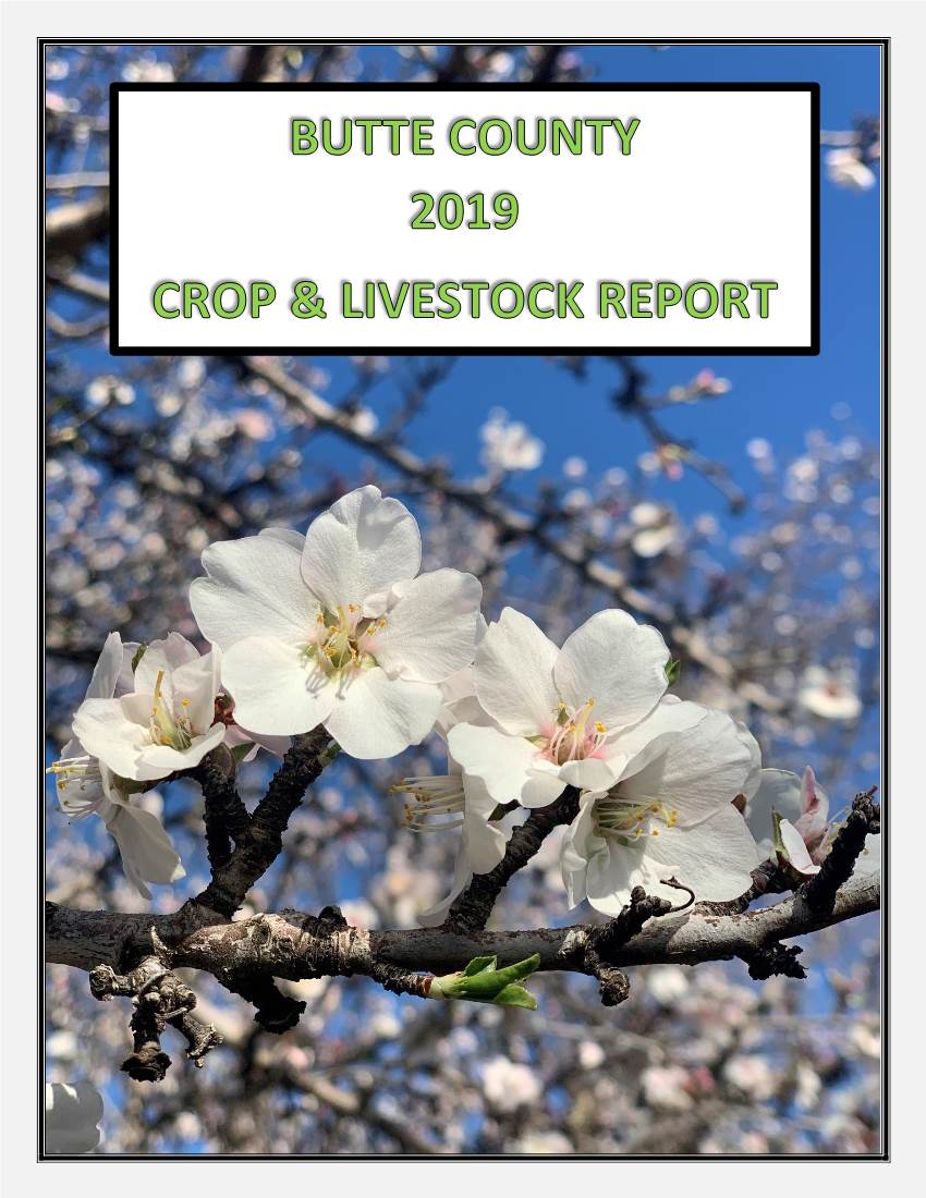 2019 Crop Report Is Dedicated to Mrs