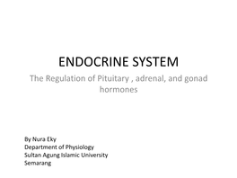 ENDOCRINE SYSTEM the Regulation of Pituitary , Adrenal, and Gonad Hormones
