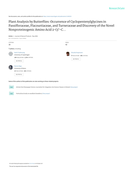 Occurrence of Cyclopentenylglycines in Passifloraceae, Flacourtiaceae