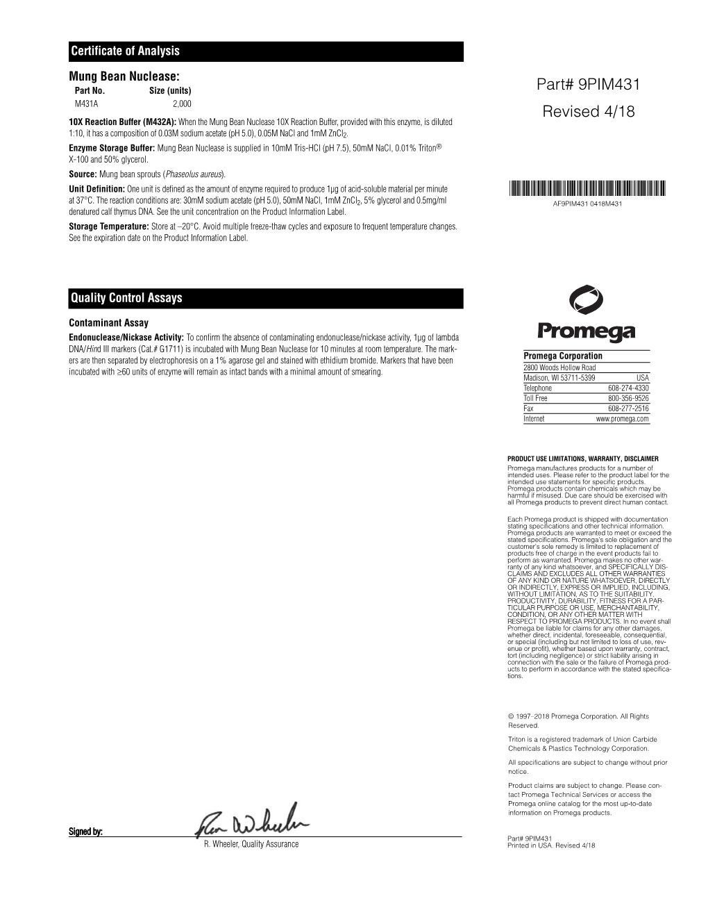 Mung Bean Nuclease Product Information