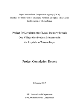 Project Completion Report