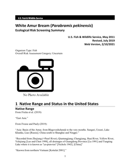 Bream, White Amur (Parabramis Pekinensis)