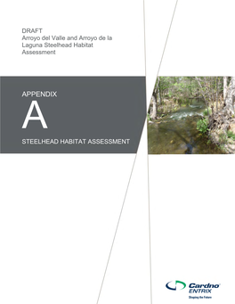 DRAFT Steelhead Habitat Assessment