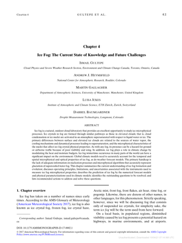 Chapter 4 Ice Fog: the Current State of Knowledge and Future Challenges