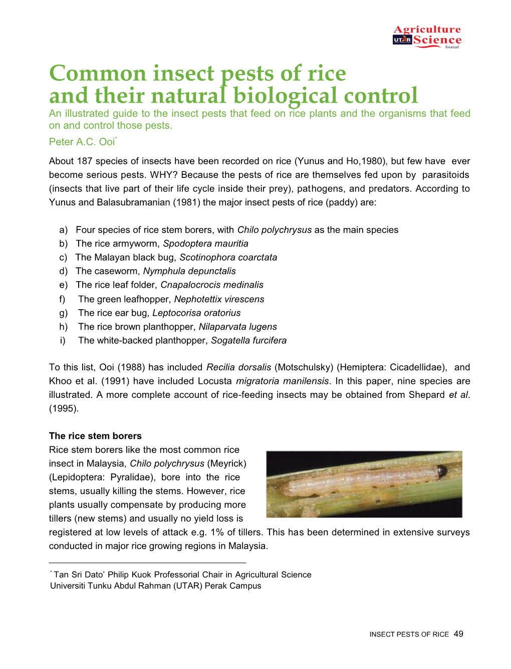 Common Insect Pests of Rice and Their Natural Biological Control - DocsLib