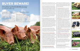Buyer Beware! Make Sure You See the Parent’S Papers Or Confirm One of the Most Striking and Common Tell-Tale with the Breed Registrar Before Buying