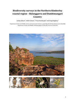 Biodiversity Surveys in the Northern Kimberley Coastal Region – Balanggarra and Dambimangari Country