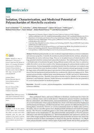 Isolation, Characterization, and Medicinal Potential of Polysaccharides of Morchella Esculenta