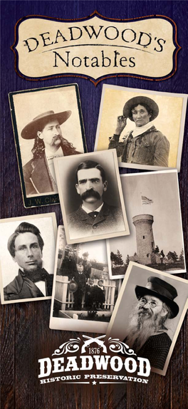 Seth Bullock Continued Mount Roosevelt Tower His Campaign Tour