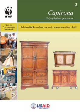 Ficha Capirona.Pmd 1 18/07/2006, 14:34 Guía De Procesamiento Industrial Fabricación De Muebles Con Maderas Poco Conocidas - LKS
