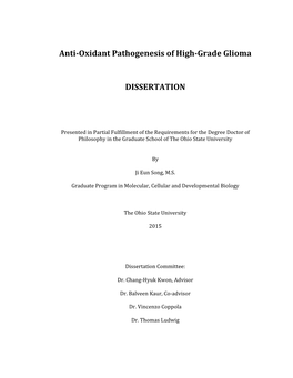 Anti-Oxidant Pathogenesis of High-Grade Glioma DISSERTATION