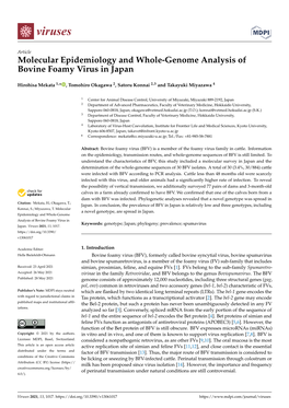 Molecular Epidemiology and Whole-Genome Analysis of Bovine Foamy Virus in Japan