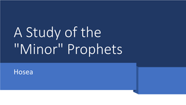 Minor Prophets L2 Hosea.Pdf