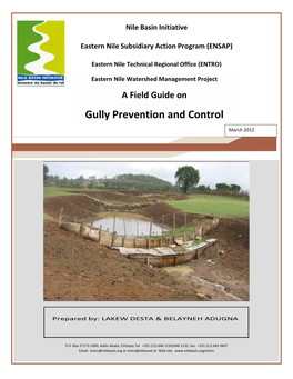 Gully Prevention and Control