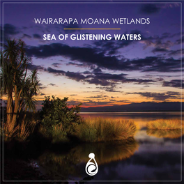 Wairarapa Moana Wetlands Sea of Glistening Waters