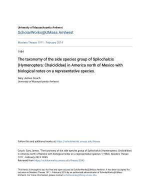 The Taxonomy of the Side Species Group of Spilochalcis (Hymenoptera: Chalcididae) in America North of Mexico with Biological Notes on a Representative Species