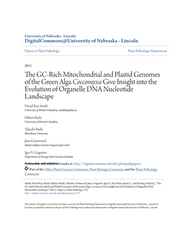 The GC-Rich Mitochondrial and Plastid Genomes of the Green Alga