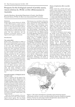 Prospects for the Biological Control of Prickly Acacia, Acacia Nilotica (L