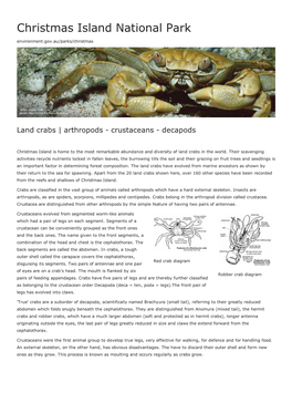 Land Crabs | Christmas Island National Park