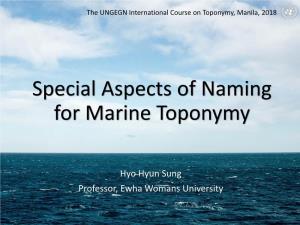 Special Aspects of Marine Naming