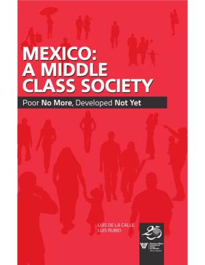Mexico: a Middle Class Society, Poor No More, Developed Not