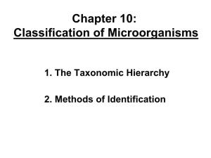 Chapter 10: Classification of Microorganisms