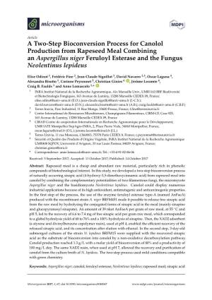 A Two-Step Bioconversion Process for Canolol Production from Rapeseed Meal Combining an Aspergillus Niger Feruloyl Esterase and the Fungus Neolentinus Lepideus