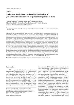 Molecular Analysis on the Possible Mechanism of Β-Naphthoflavone-Induced Hepatocarcinogenesis in Rats