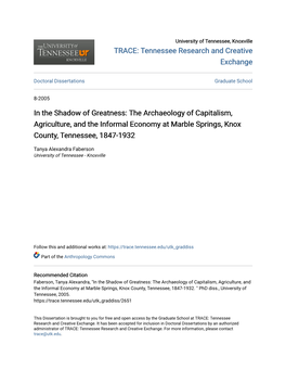 In the Shadow of Greatness: the Archaeology of Capitalism, Agriculture, and the Informal Economy at Marble Springs, Knox County, Tennessee, 1847-1932