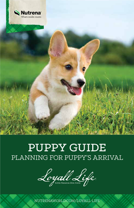 Puppy-Guide.Pdf